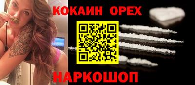 крисы Гатчина