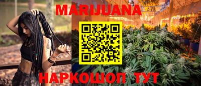 мяу мяу мука Гай