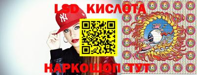 крисы Гатчина