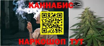 мяу мяу мука Гай