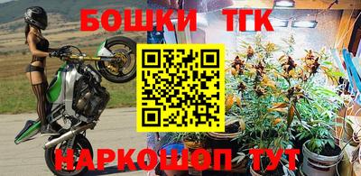 крисы Гатчина