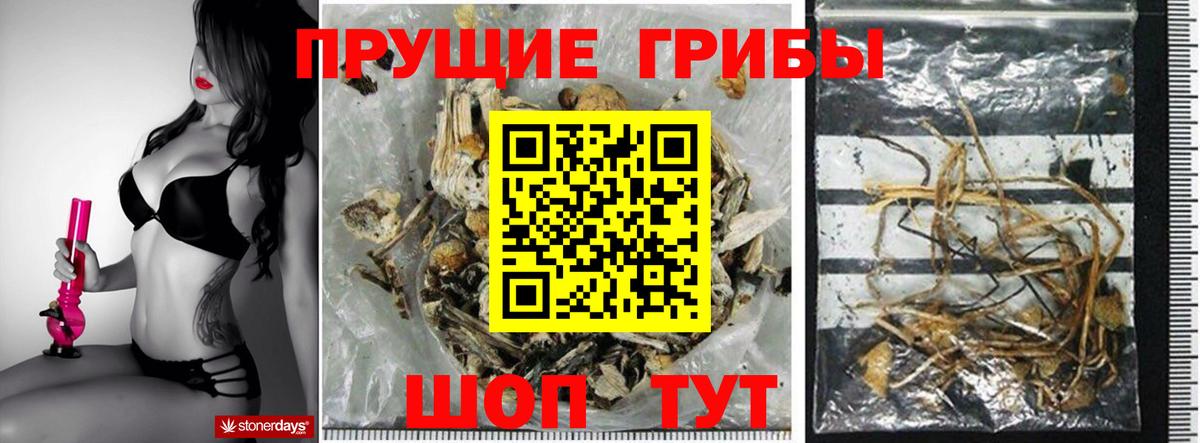 Псилоцибиновые грибы прущие грибы Москва