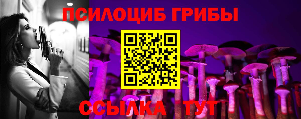 что такое   Вход с VPN  Москва  Галлюциногенные грибы ЛСД 